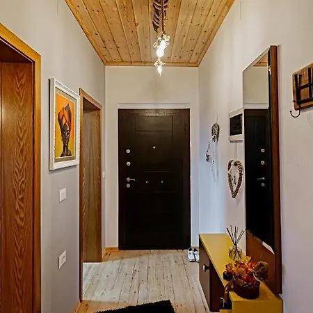 Oli's Apartment Korce